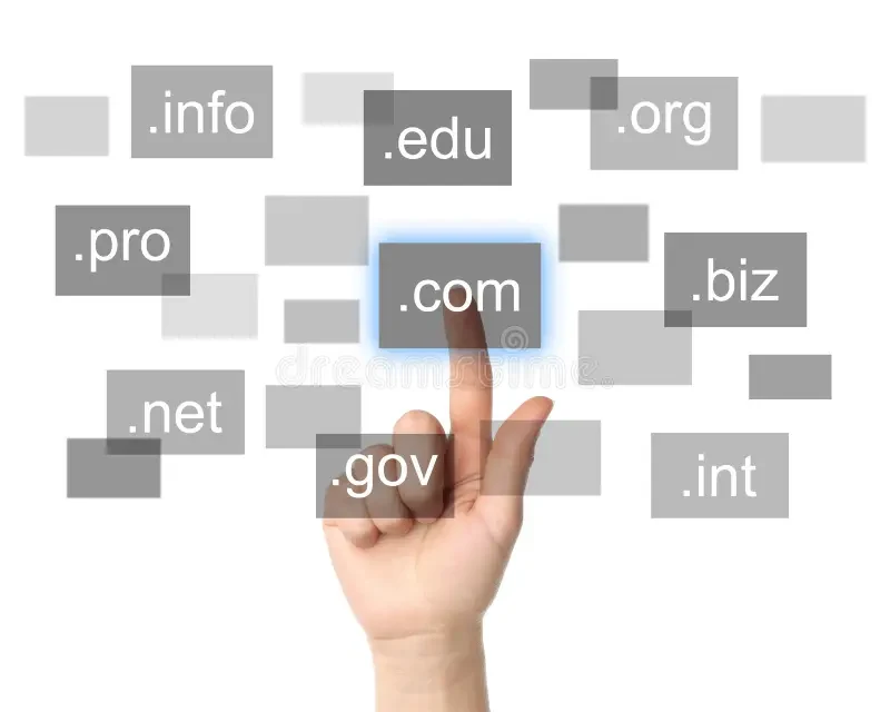 Domain names for a new business website